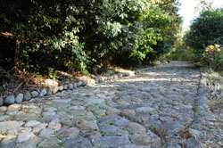 金谷旧東海道の石畳